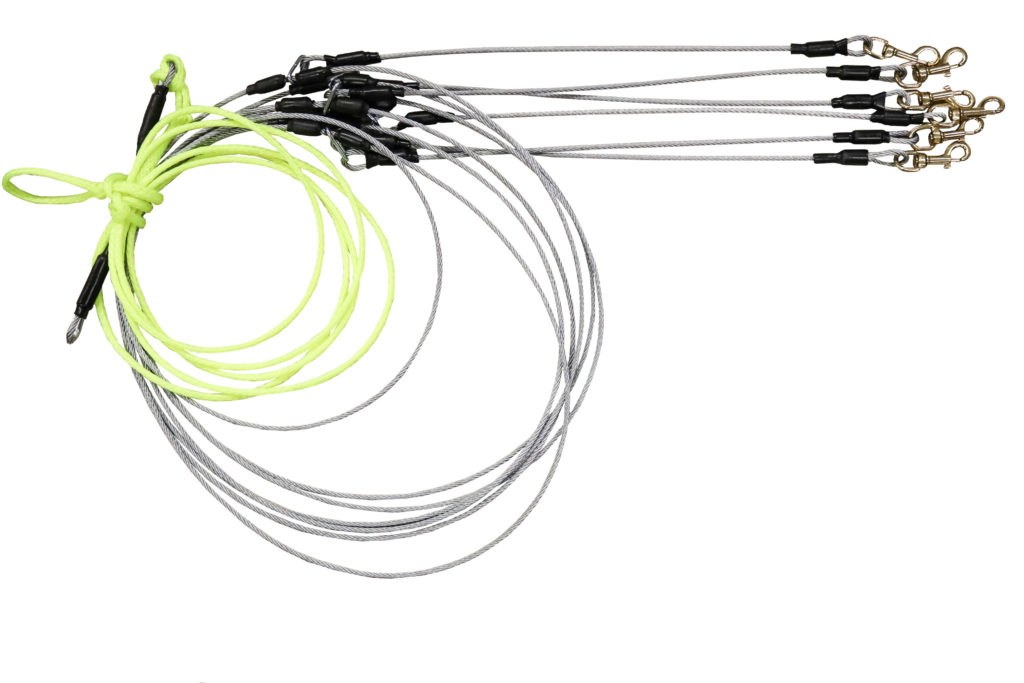 StakeOut for 8 Dogs Axaeco