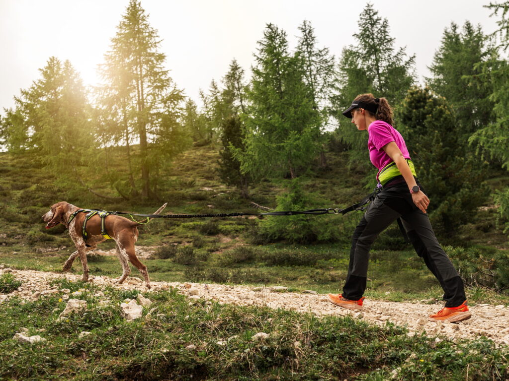 Guinzaglio da Jogging 4 Season con Cintura Explorer and Pettorina Broad Peak