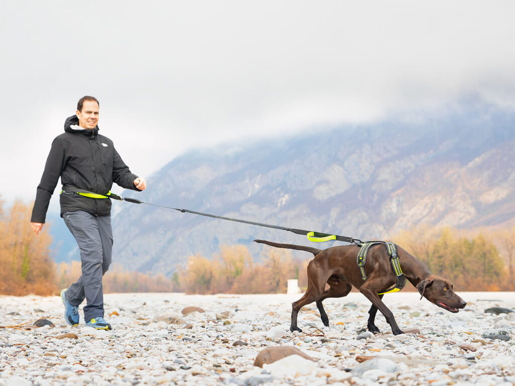 4 Season Jogging Leash with Trekking Belt, Harness Power and Carabiner CaniX Belt