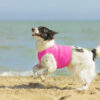 All-Rounder Vest is perfect for summer activities with the dog - 03