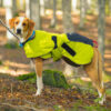 Dog Coat Ice-Olation 2.0 in action in the woods