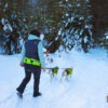 Explorer Belt with 4 Season Dog Coat, Dog Coat Ide-Olation and Elastic Leash