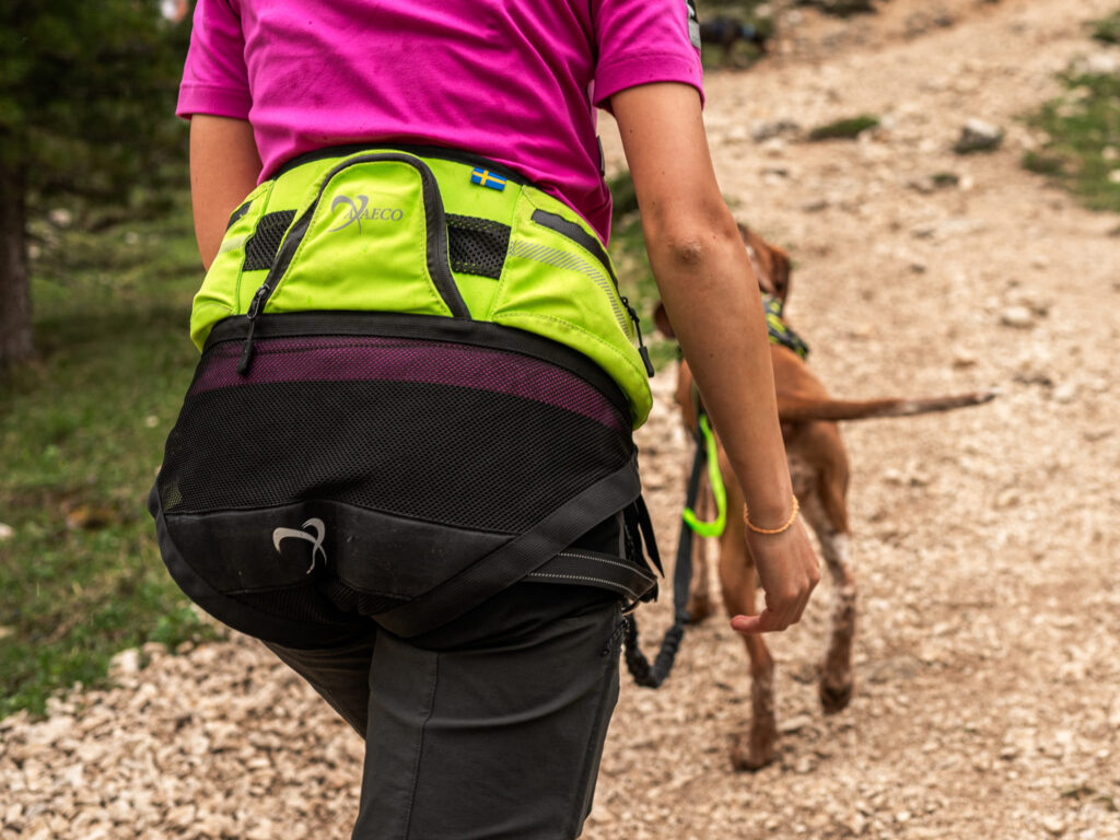 Axaeco Explorer Belt