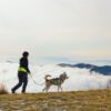 Pettorina Scandinavia in azione per le camminate con il cane