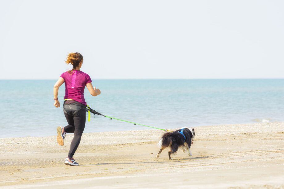 Racing Gürtel in Aktion - Laufen mit dem Hund am Strand - Rückansicht