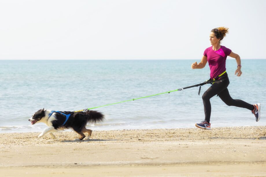 Racing Gürtel in Aktion - Laufen mit dem Hund am Strand – Vorderansicht