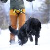 Racing Gürtel in Aktion - Spaziergang mit dem Hund im Schnee - Vorderansicht