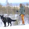 Racing Bälte i aktion - Går med hunden i snön - Sidovy