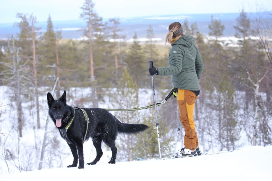 Racing Gürtel in Aktion - Spaziergang mit dem Hund im Schnee - Seitenansicht