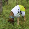 Regenmantel Windbreaker für Hund – Ganzkörper