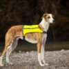 Trapper Weste – Gelbe Seite am großen Hund