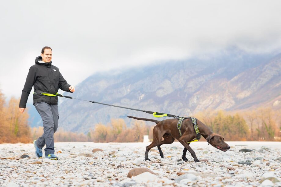 Spaziergang mit dem Hund mithilfe des Trekkinggürtels – Vorderansicht