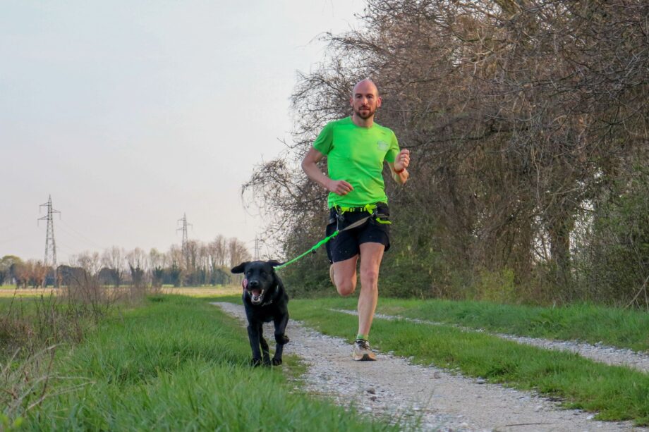 Uomo che corre con il cane utilizzando la Linea CaniX con la pettorina X Run e la cintura Racing