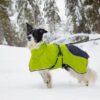 Anti-Rutsch Leine mit 4 Season Hundemantel im Schnee