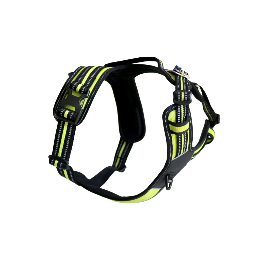 Harness 4 Season Fit