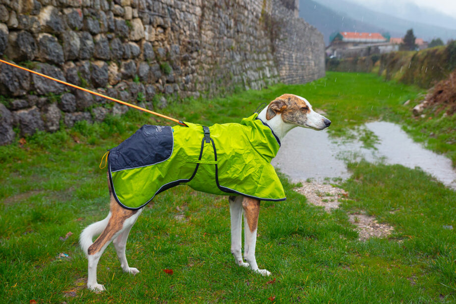 Cappottino 4 Season indossato dal cane – Vista laterale 2
