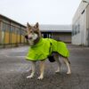 4 Season Dog Coat on dog – Side view 4