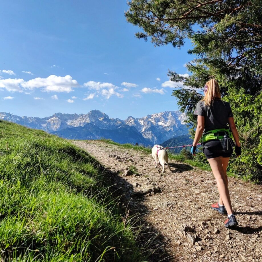 Explorer Gürtel in Aktion – Sportliche Frau geht mit Hund in den Bergen spazieren - 03