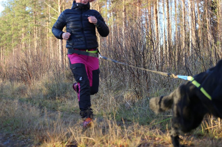 Dog trekking belt - Woman running with dog - Back