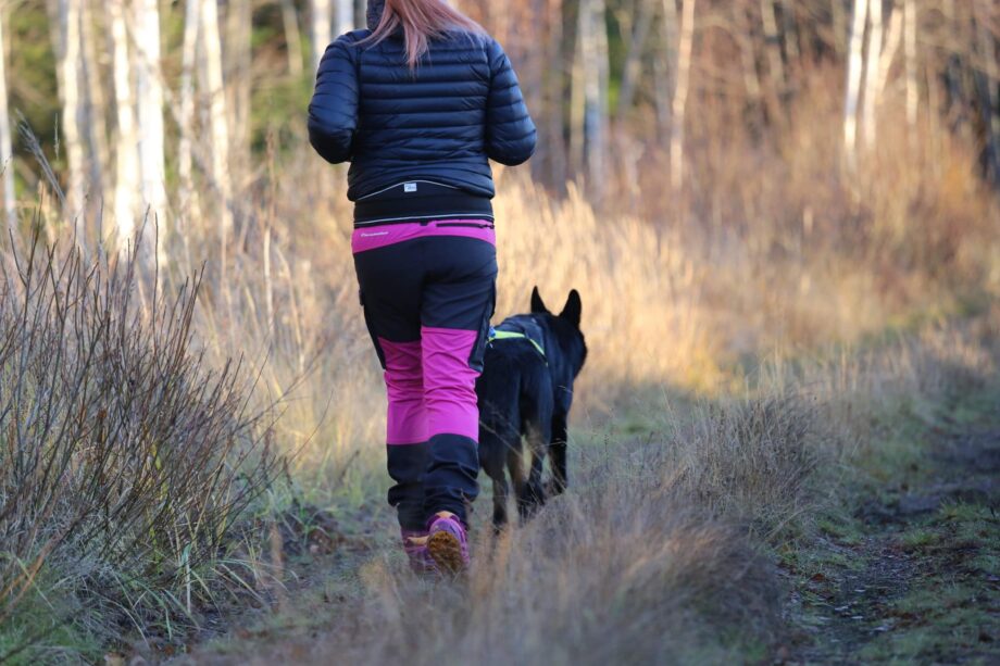 Trekkinggürtel - Frau läuft mit Hund - Rückseite