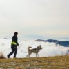 Explorer Gürtel in Aktion – Frau geht mit Hund in den Bergen spazieren