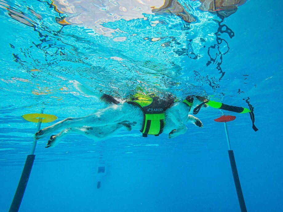 AQUA Schwimmweste im Einsatz zum Spielen mit Pippen