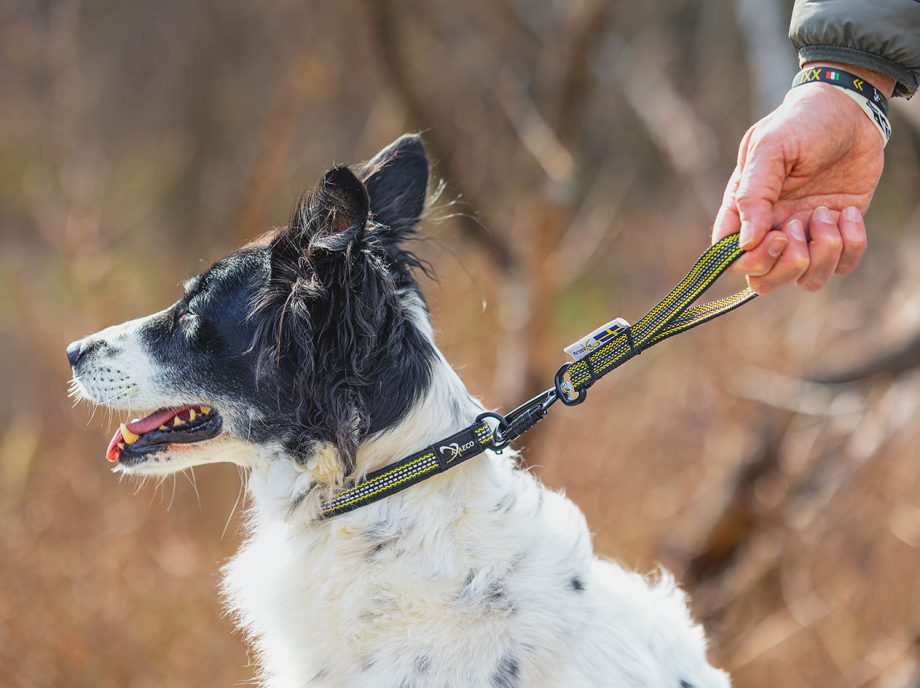 Grepp Handtag med Grepp Halsband