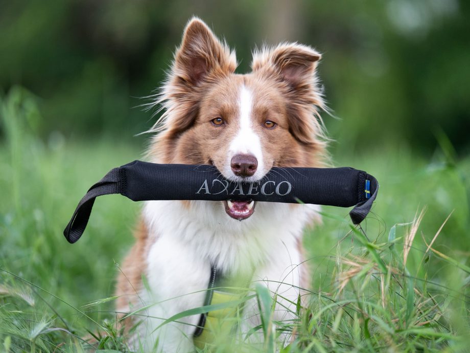 Gioco per cani Pippen K9