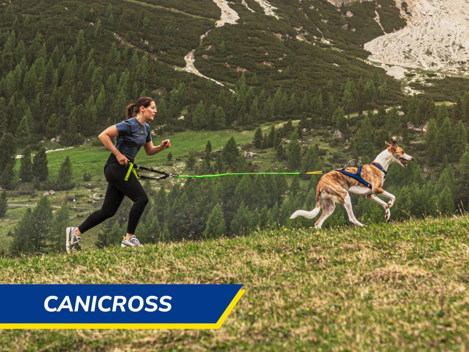 Canicross