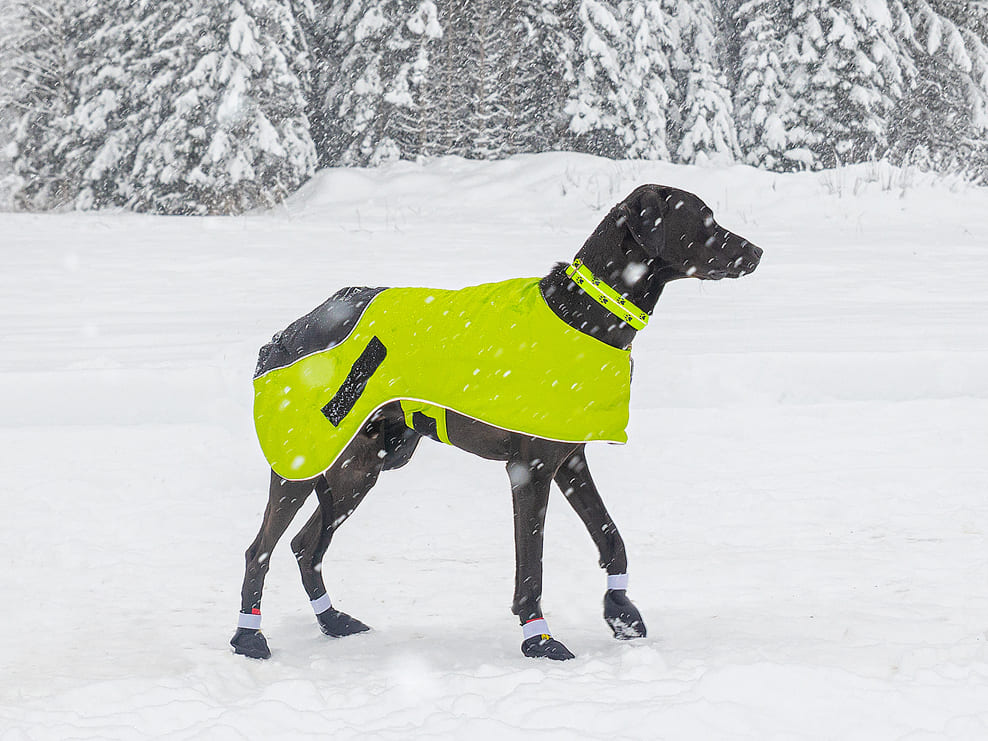 Kipmik Booties - Hundtäcke Ice-Olation - Sleddog Halsband