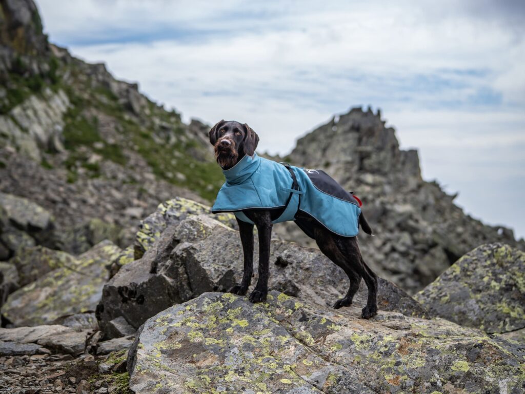 Hundtäcke Lapland på hund