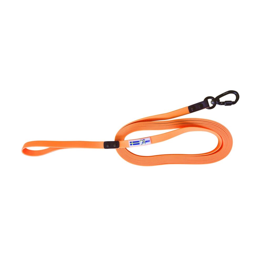 Action Tracking Lead
